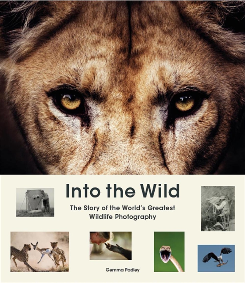 Into the Wild/Product Detail/Art