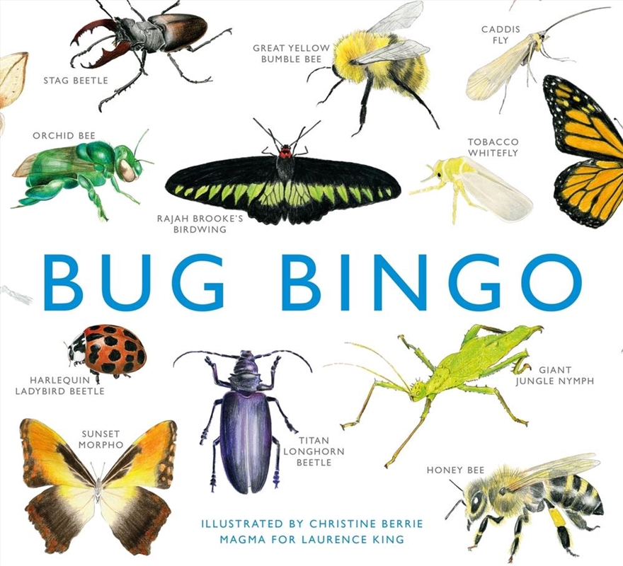 Bug Bingo/Product Detail/Games