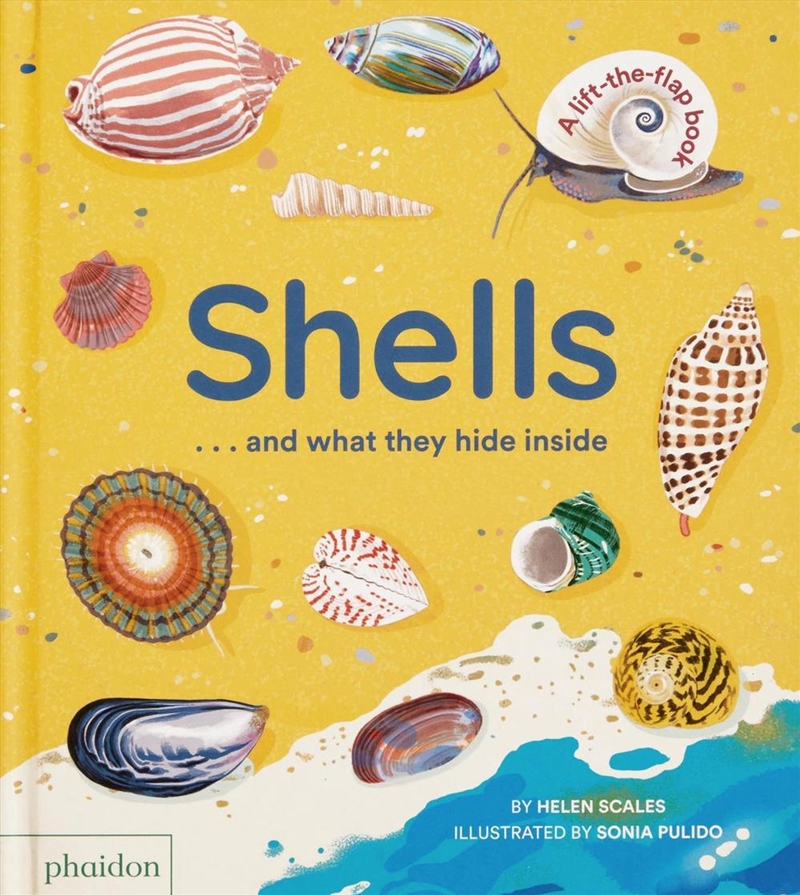 Shells... and what they hide inside/Product Detail/Childrens