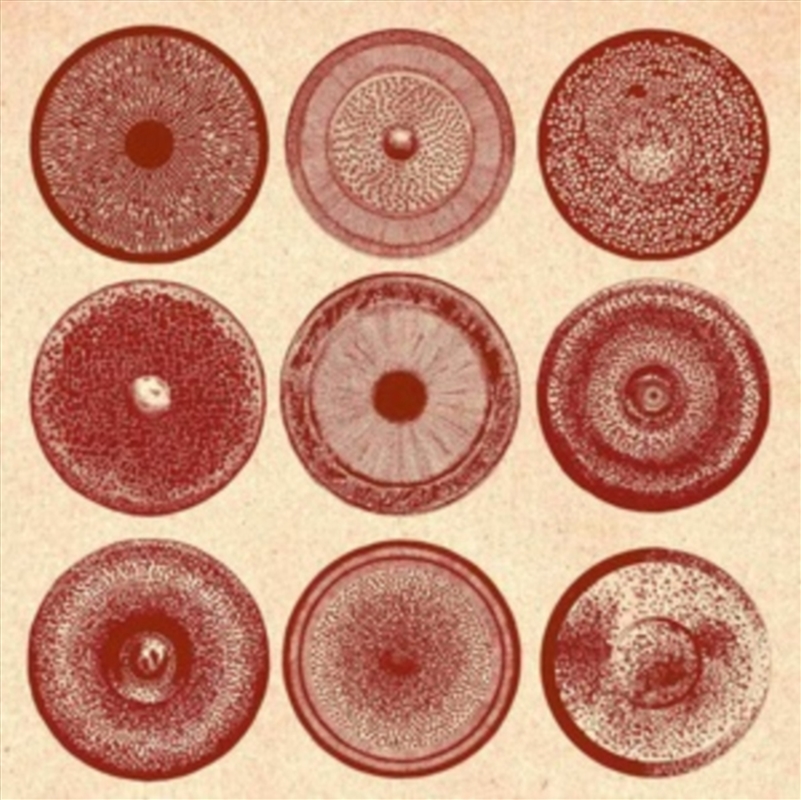 Spilla/Product Detail/Alternative