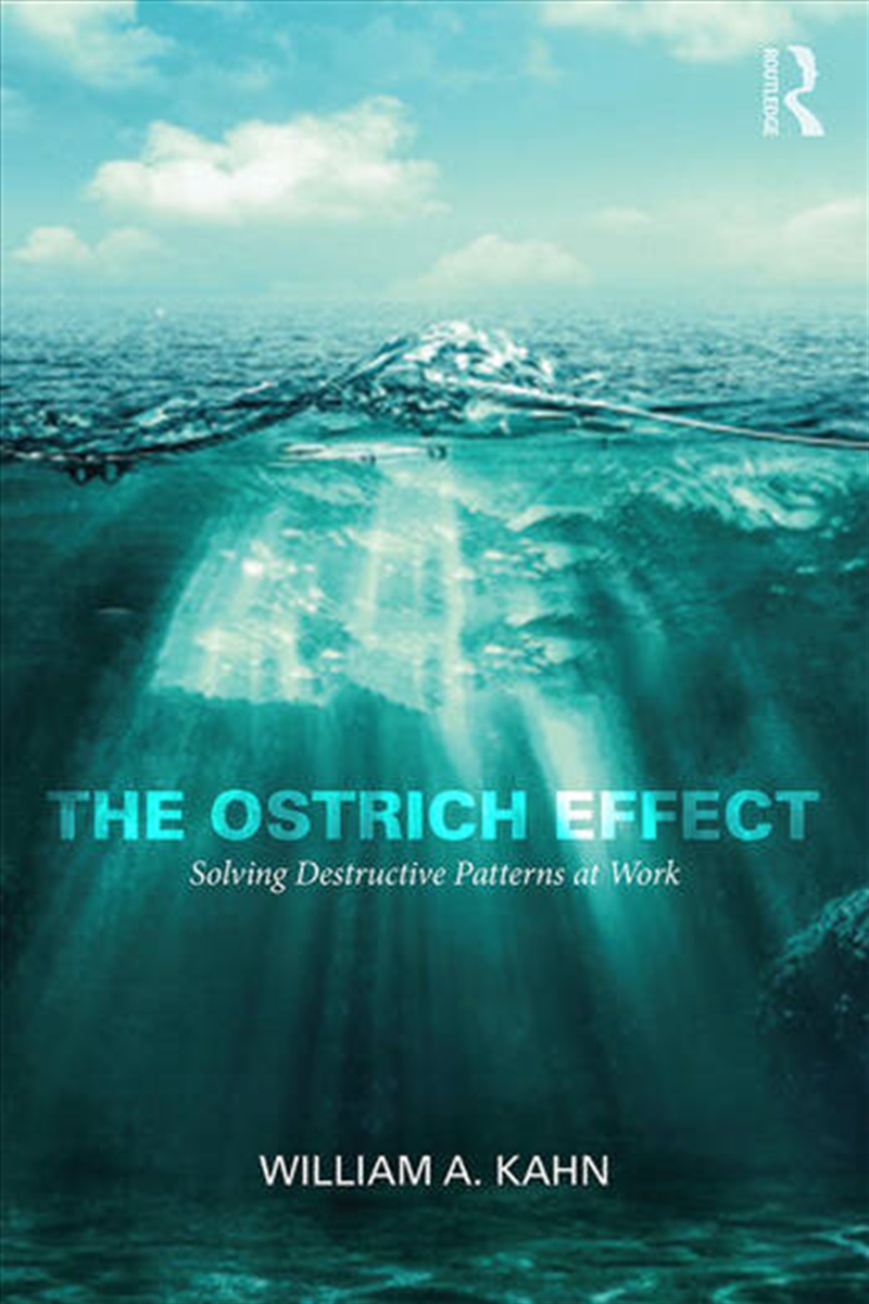 The Ostrich Effect/Product Detail/Business Leadership & Management