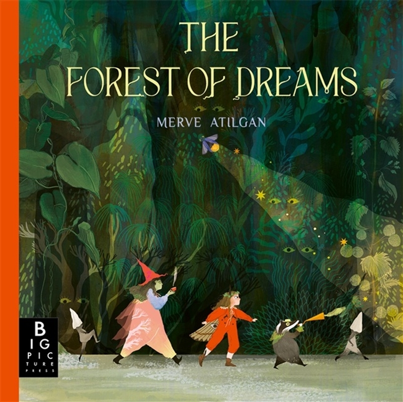 The Forest Of Dreams/Product Detail/Childrens Fiction Books