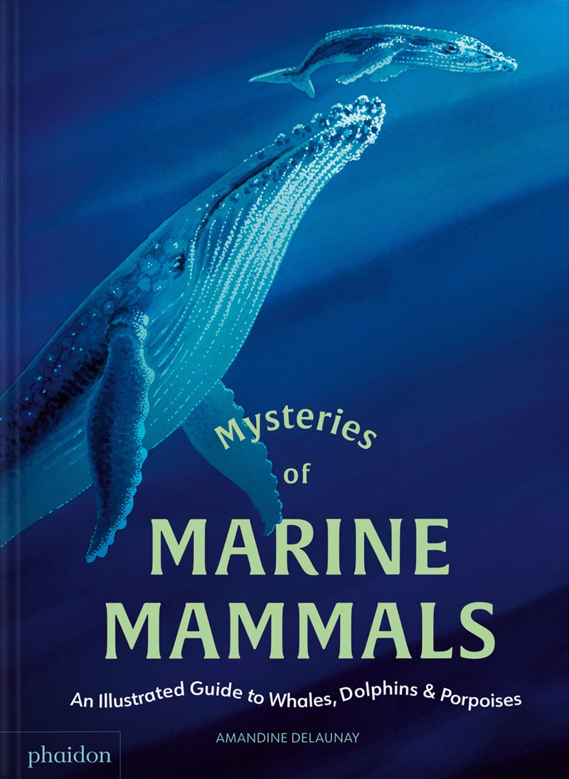 Mysteries Of Marine Mammals/Product Detail/Childrens