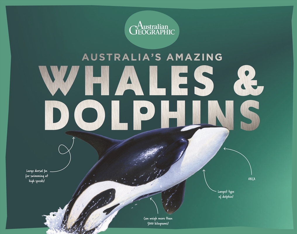 Australia’s Amazing Whales and Dolphins/Product Detail/Animals & Nature