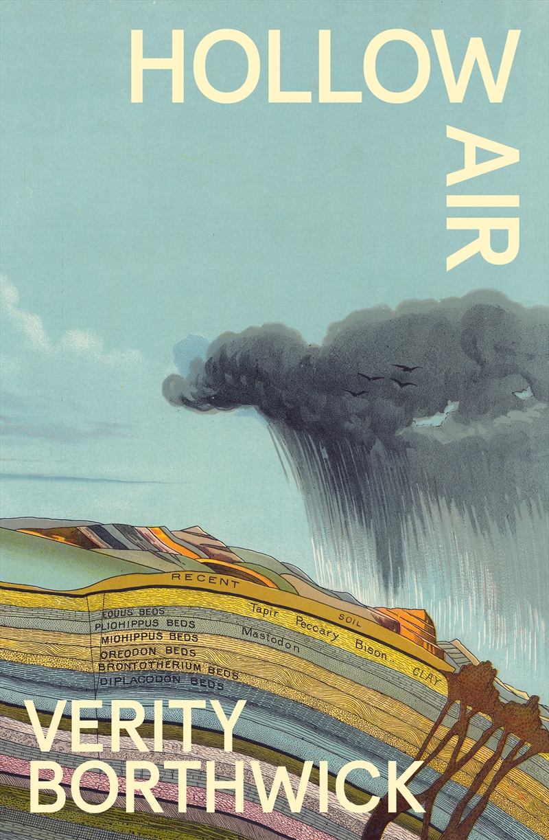 Hollow Air/Product Detail/General Fiction Books