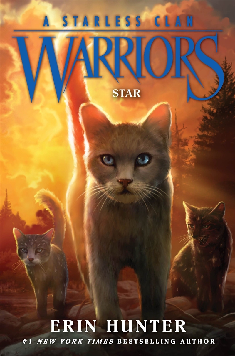 Warriors A Starless Clan #6 Star/Product Detail/Childrens Fiction Books