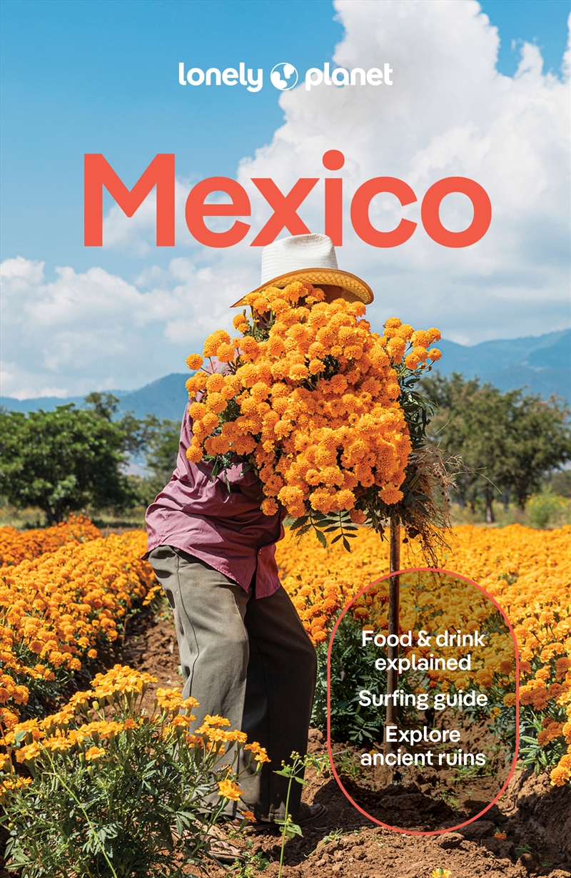 Lonely Planet Mexico/Product Detail/Travel & Holidays