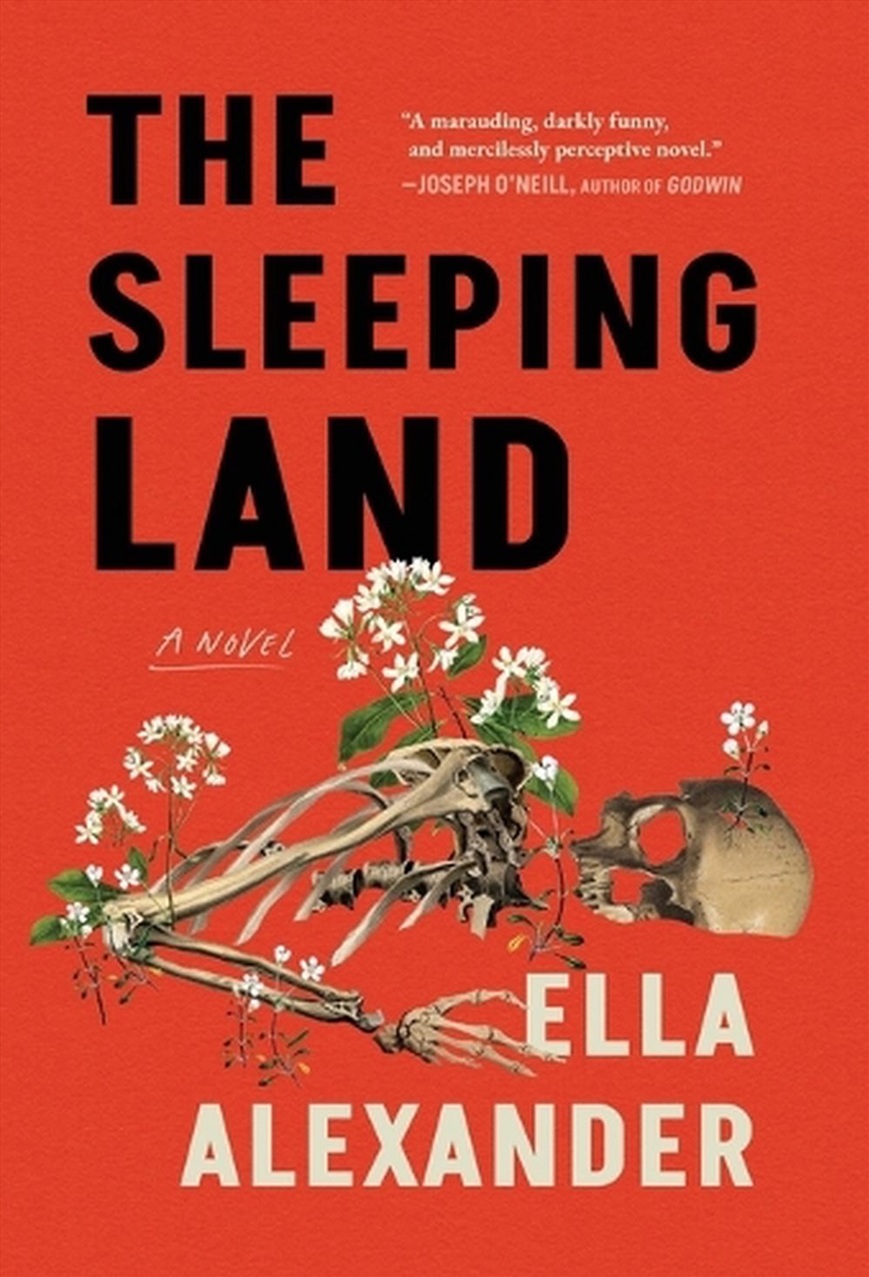 The Sleeping Land/Product Detail/Thrillers & Horror Books