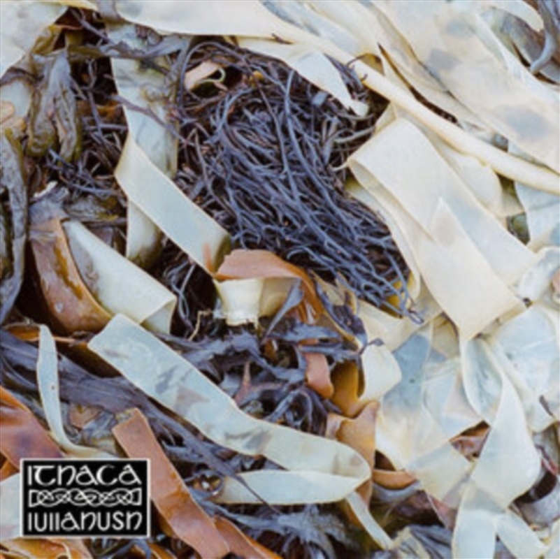 Ithaca/Product Detail/Dance