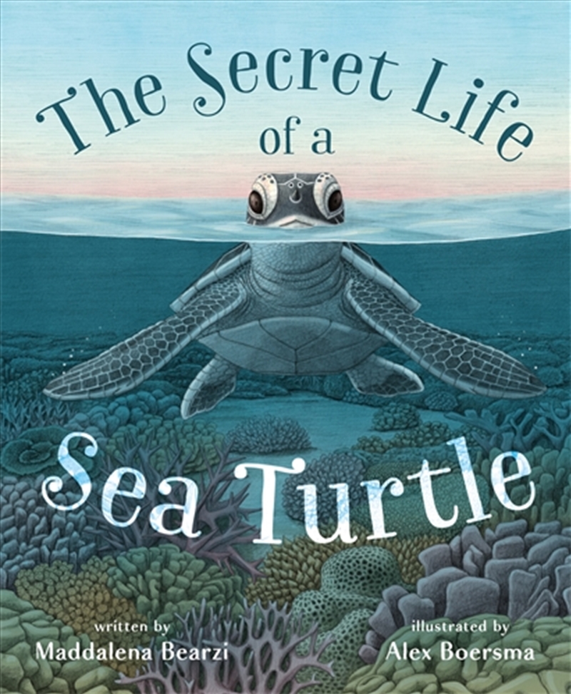 The Secret Life Of A Sea Turtl/Product Detail/Childrens Fiction Books