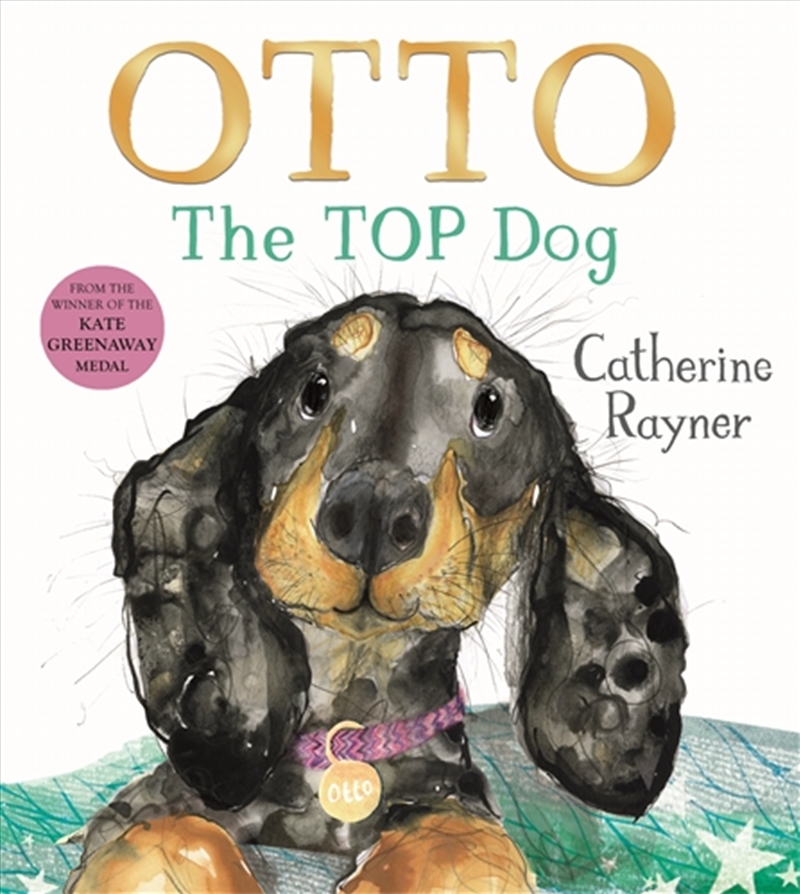 Otto The Top Dog/Product Detail/Early Childhood Fiction Books