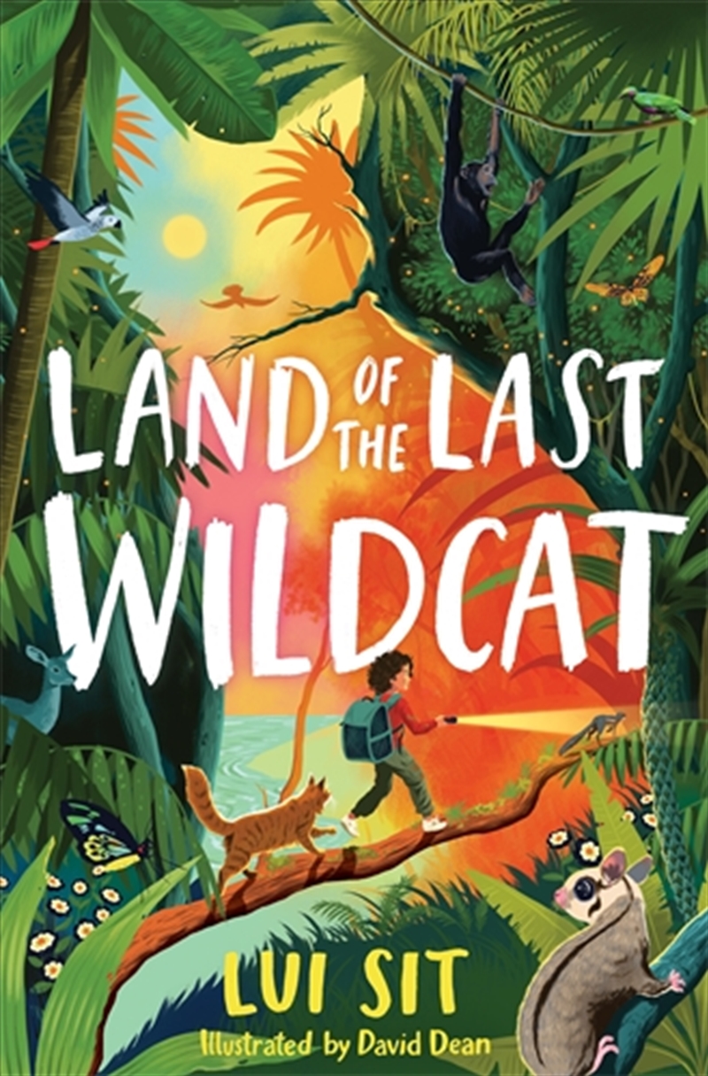 Land Of The Last Wildcat/Product Detail/Childrens Fiction Books