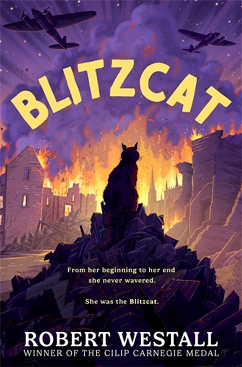 Blitzcat/Product Detail/Childrens Fiction Books