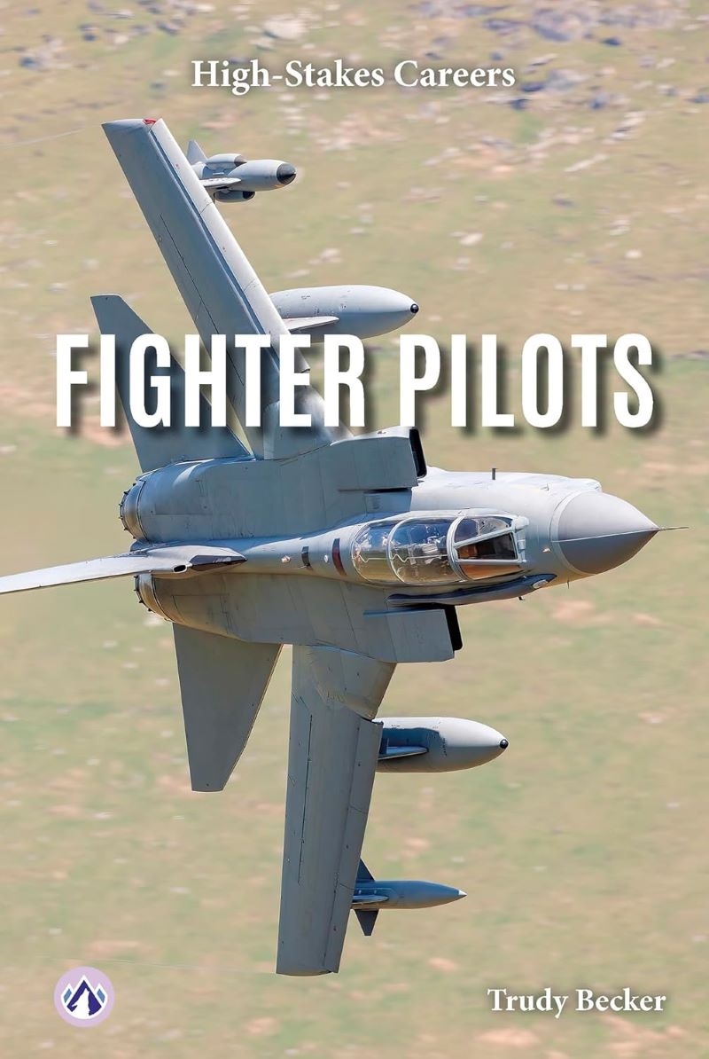 High-Stakes Careers: Fighter Pilots/Product Detail/Childrens