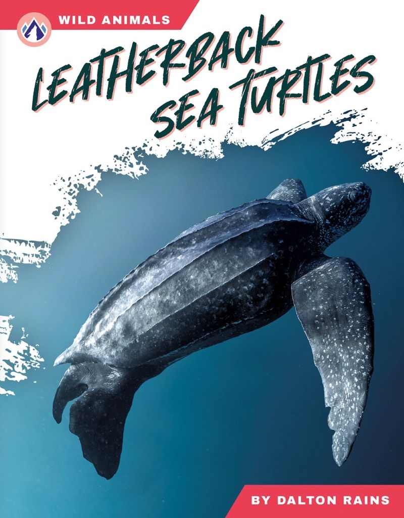 Wild Animals: Leatherback Sea Turtles/Product Detail/Childrens