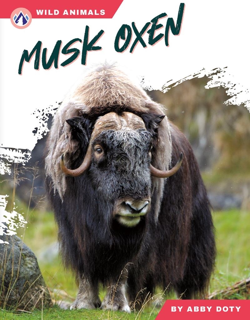Wild Animals: Musk Oxen/Product Detail/Childrens