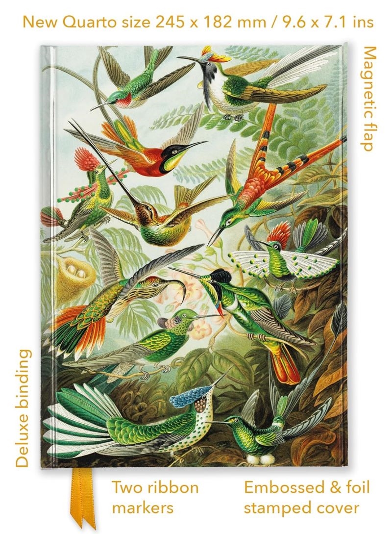 Foiled Quarto Journal: Ernst Haeckel, Hummingbirds/Product Detail/Notebooks & Journals