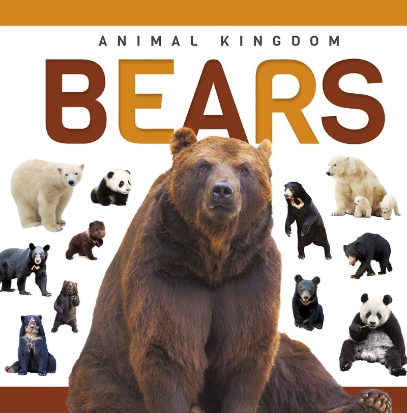 Genius Kid: Animal Kingdom: Bears/Product Detail/Childrens