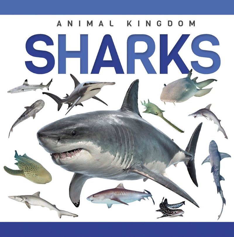 Genius Kid: Animal Kingdom: Sharks/Product Detail/Childrens