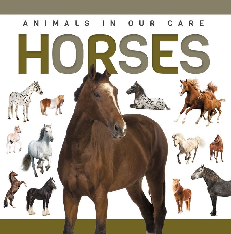 Genius Kid: Animals In Our Care: Horses/Product Detail/Childrens