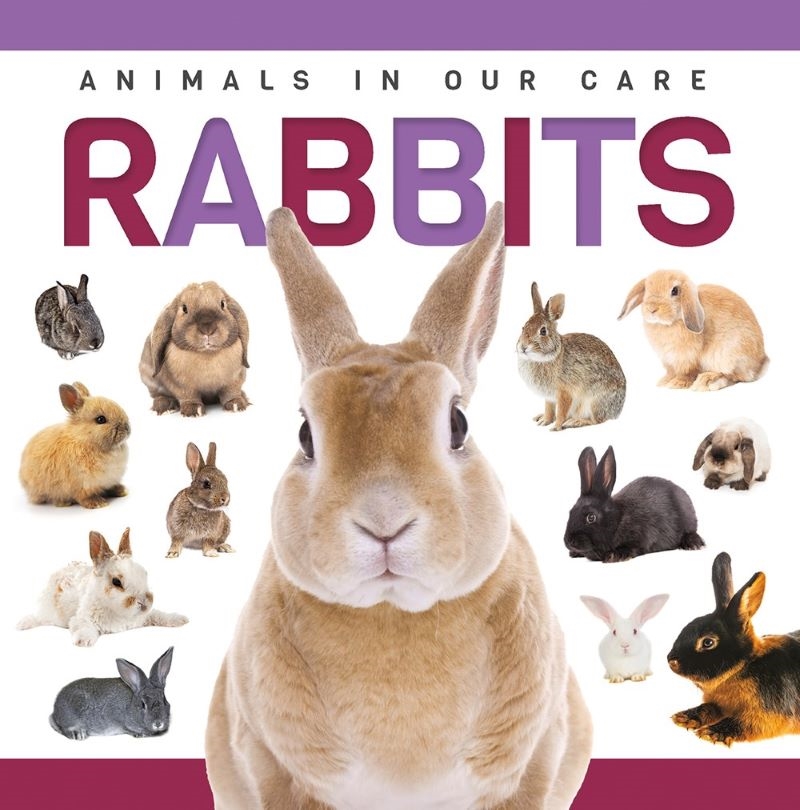 Genius Kid: Animals In Our Care: Rabbits/Product Detail/Childrens