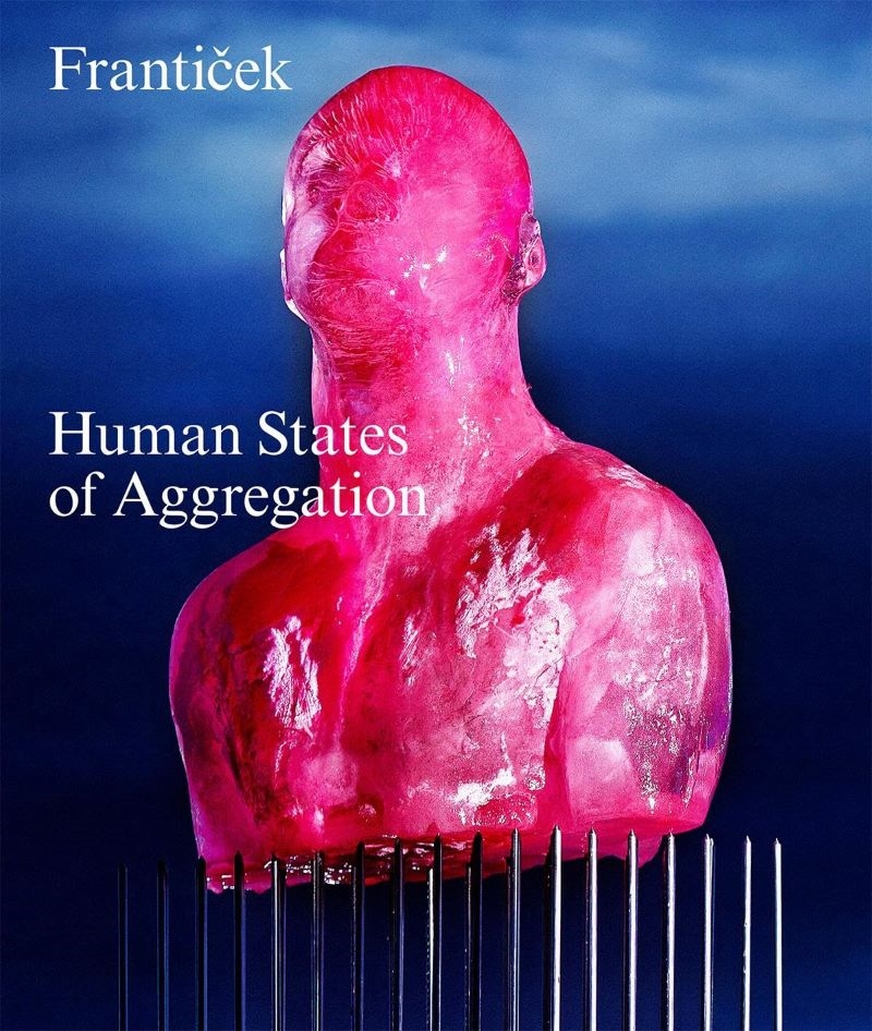 Franticek: Human States of Aggregation: I Melt, Therefore I Am!/Product Detail/Art