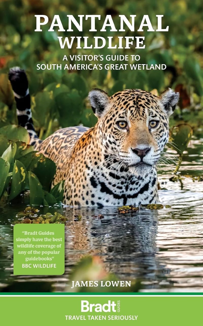Bradt Travel Guide: Pantanal Wildlife/Product Detail/Travel & Holidays