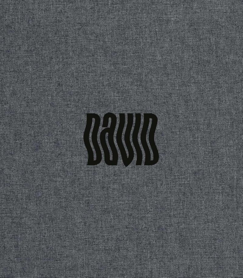 David Bowie By Denis O'regan/Product Detail/Photography