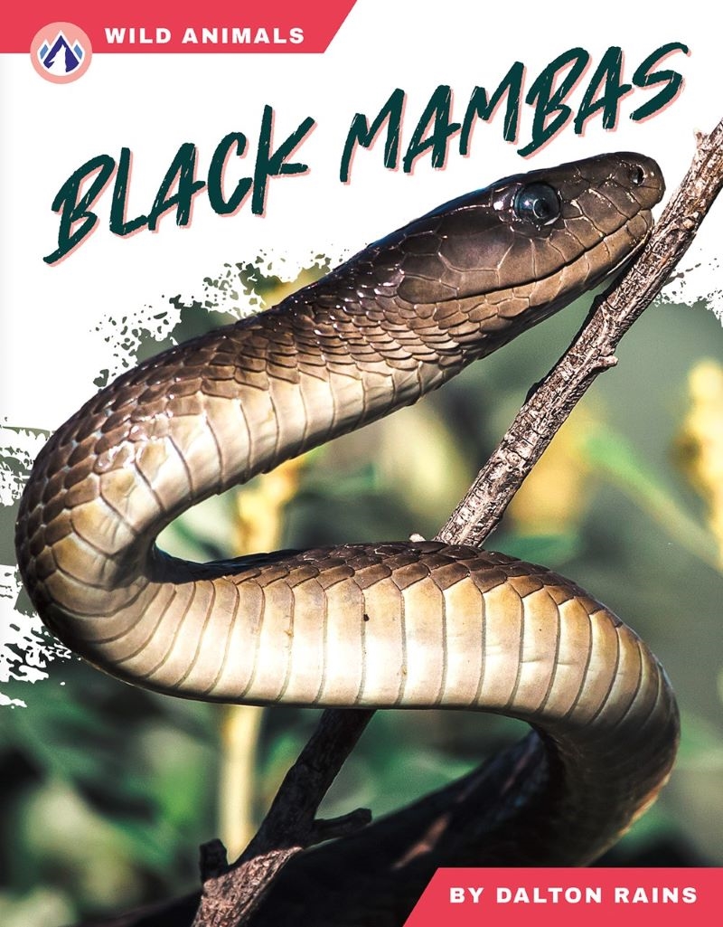Wild Animals: Black Mambas/Product Detail/Childrens