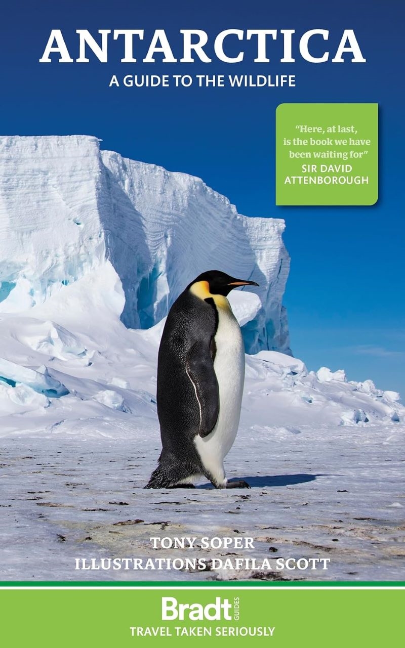 Bradt Travel Guide: Antarctica: a guide to the wildlife/Product Detail/Travel & Holidays