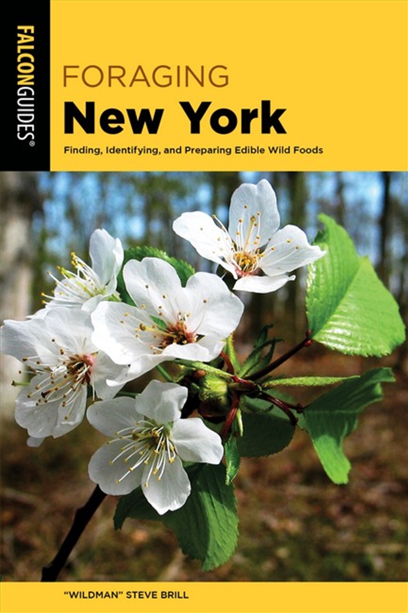 Foraging New York/Product Detail/Animals & Nature