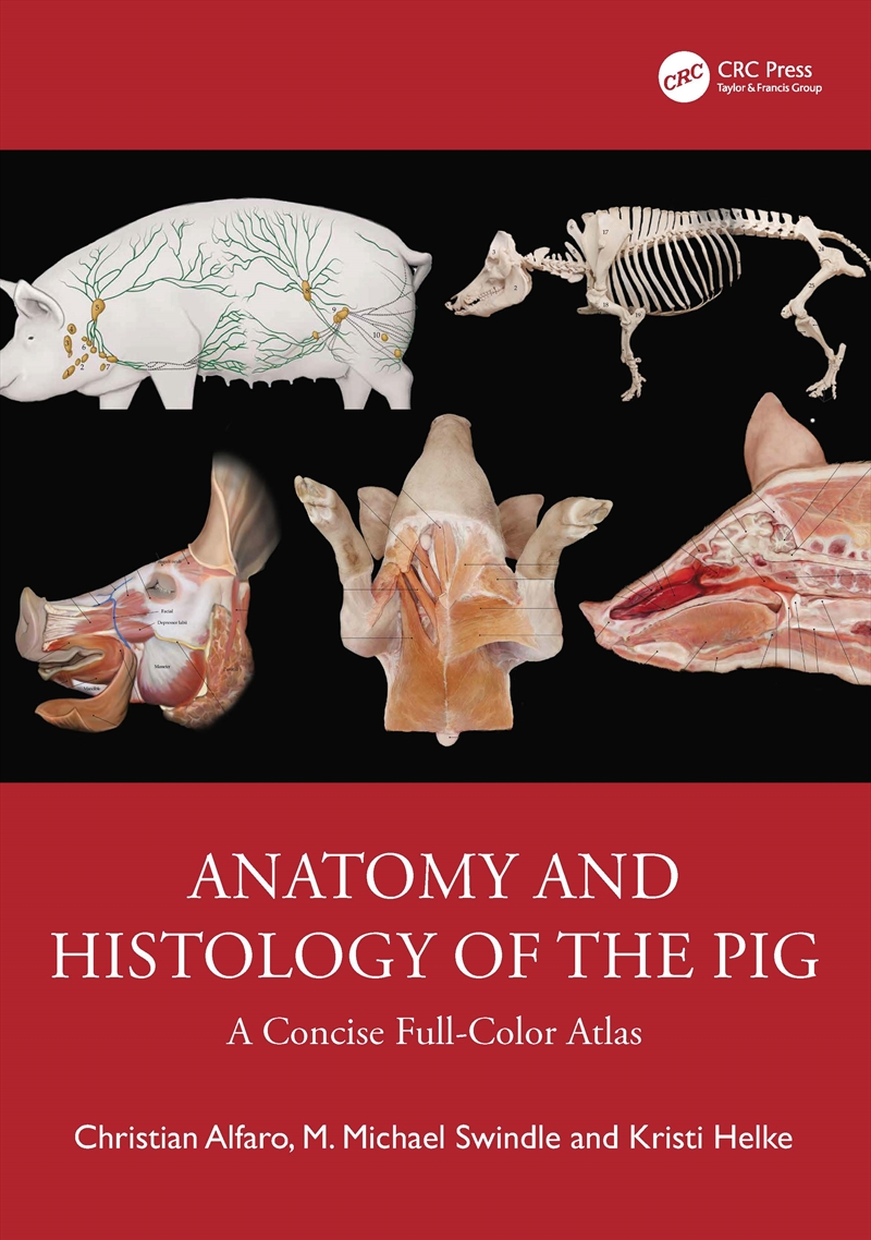 Anatomy And Histology Of The Pig A Concise Full-Color Atlas/Product Detail/Healthcare