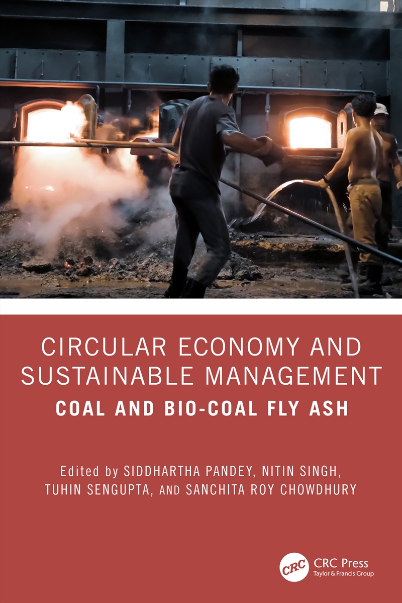 Circular Economy And Sustainable Management Coal And Bio-Coal Fly Ash/Product Detail/Reading