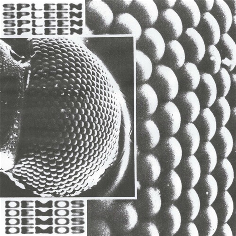 Demos/Product Detail/Rock/Pop