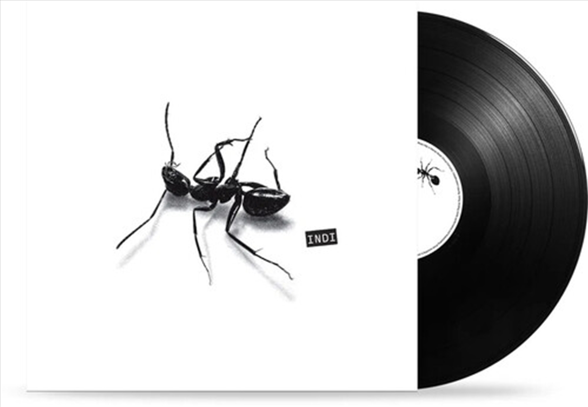 Indi/Product Detail/World