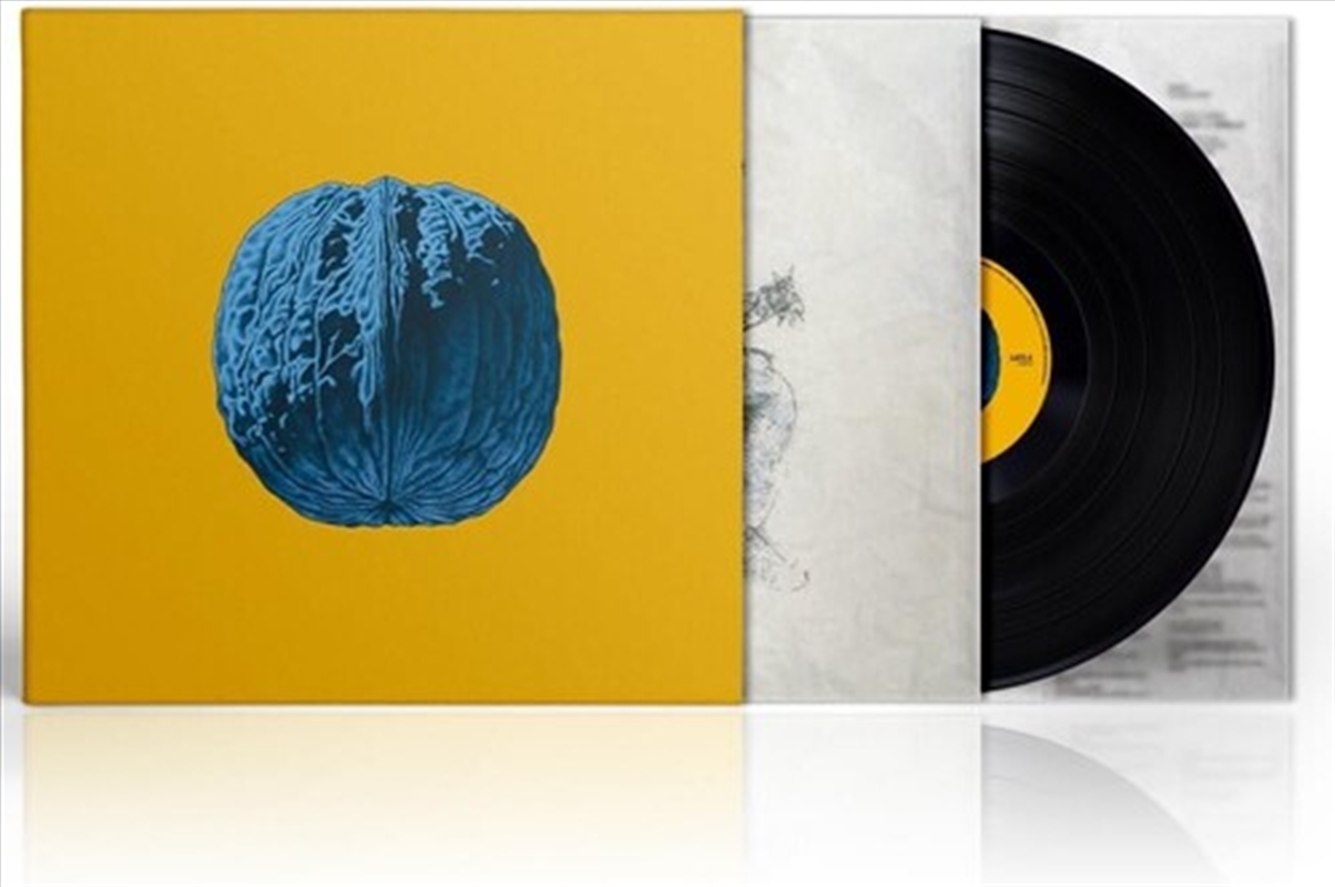 L'Albero Delle Noci/Product Detail/World