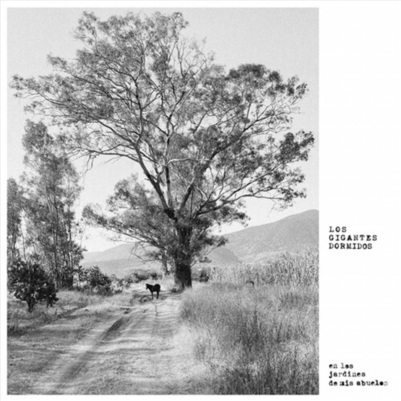 Jardines De Mis Abuelos/Product Detail/World