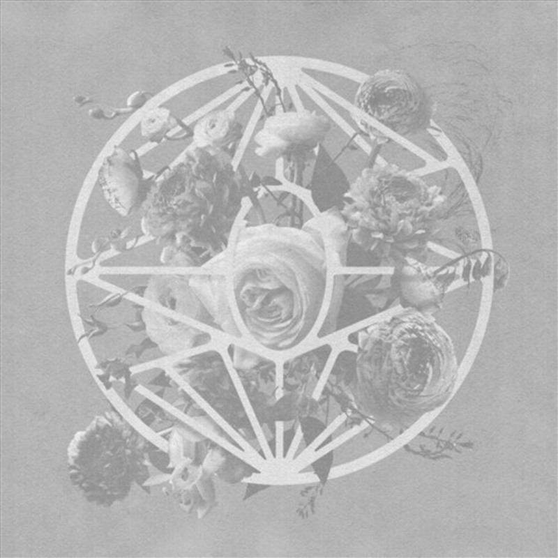 Turn The Light On/Product Detail/Rock/Pop