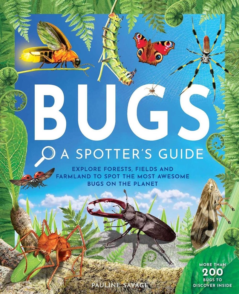 Bugs: A Spotter's Guide/Product Detail/Animals & Nature