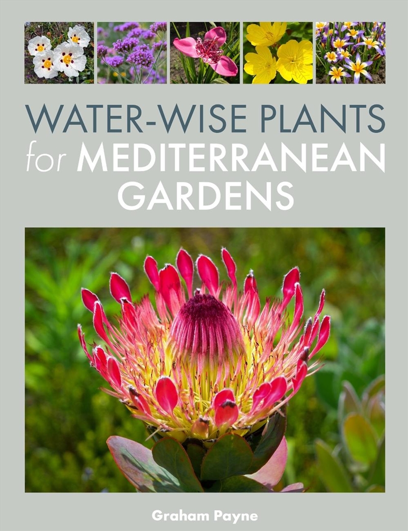 Water-Wise Plants for Mediterranean Gardens/Product Detail/Gardening
