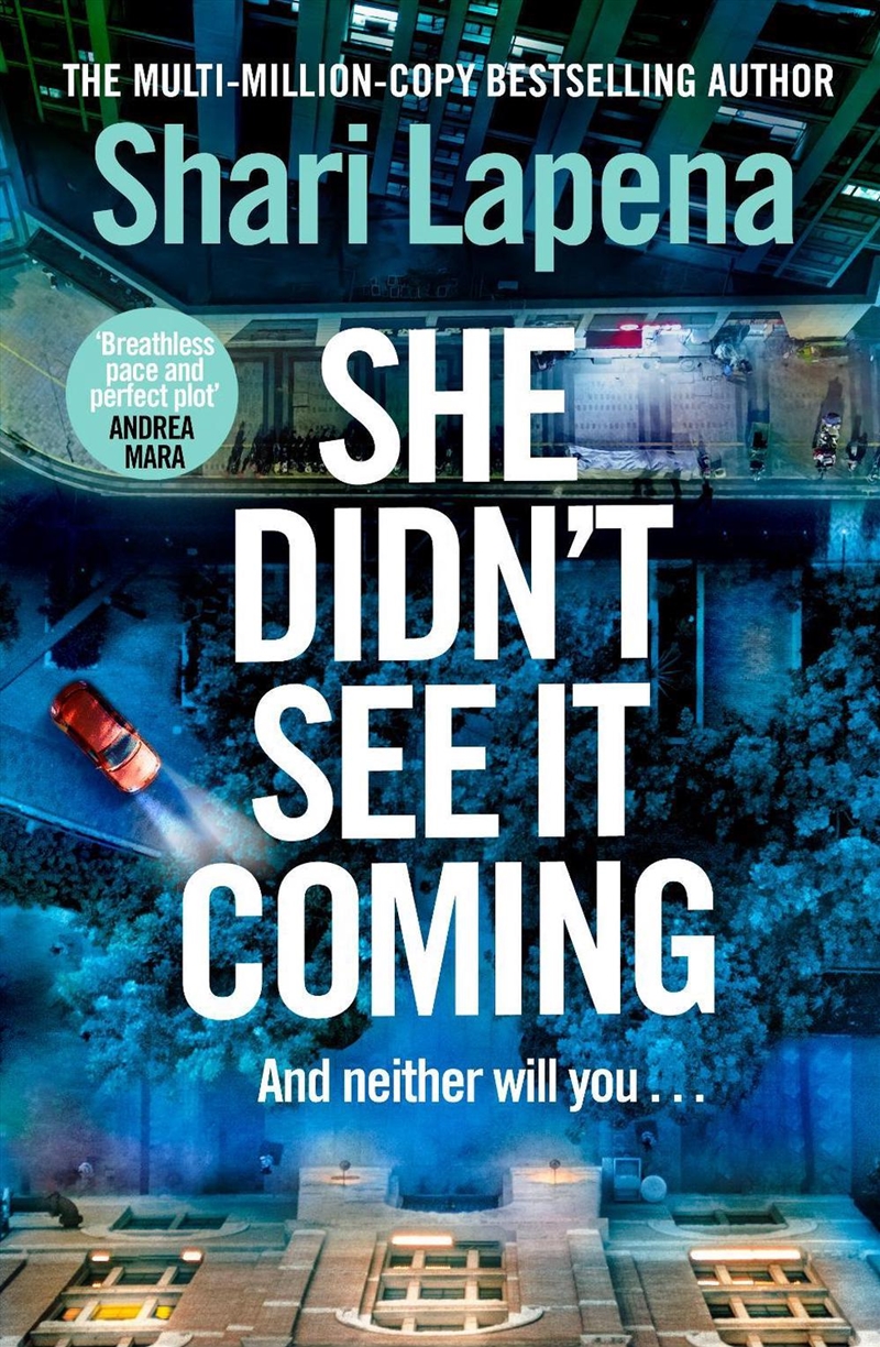 She Didn't See It Coming/Product Detail/Thrillers & Horror Books