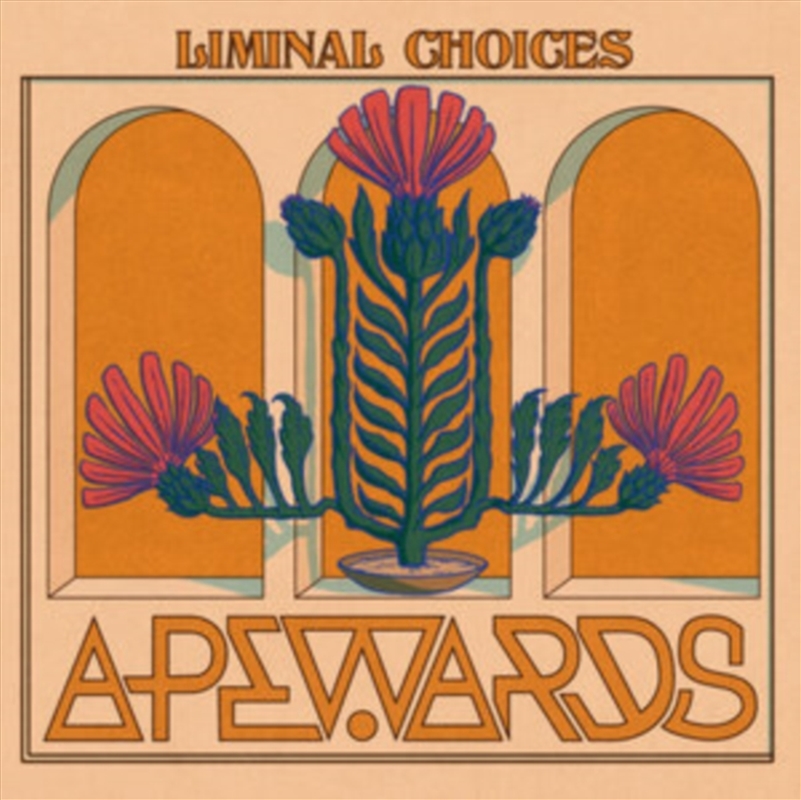 Liminal Choices/Product Detail/Rock/Pop