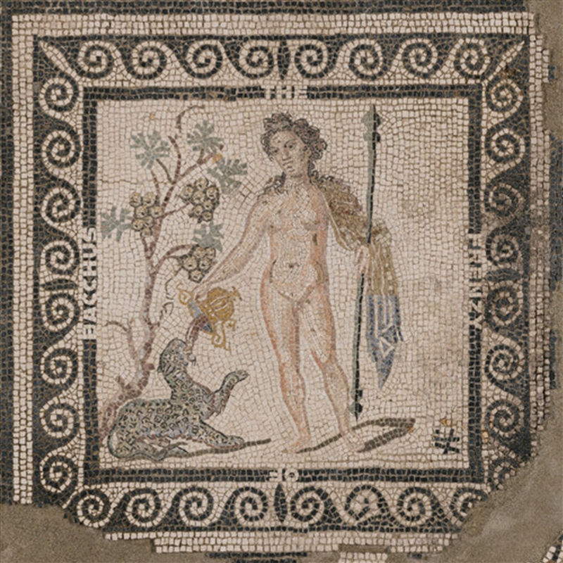 Frenzy Of Bacchus/Product Detail/Dance