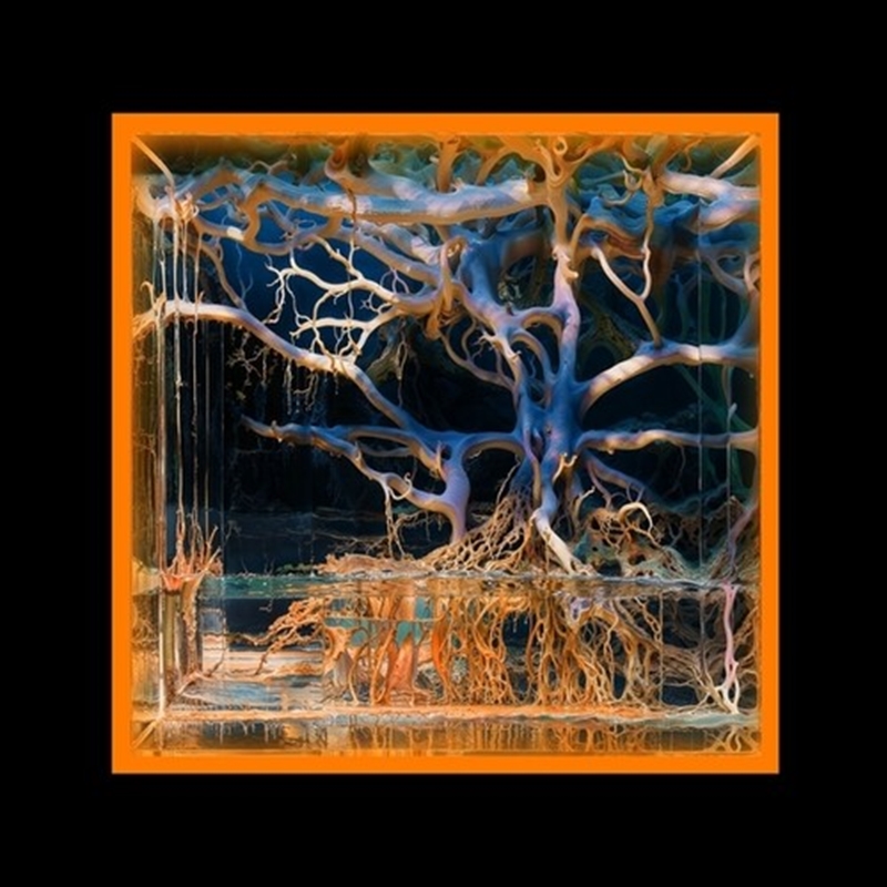 Question Mark/Product Detail/Dance