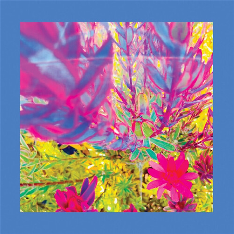 Past Is A Garden I Never Fed/Product Detail/Rock/Pop