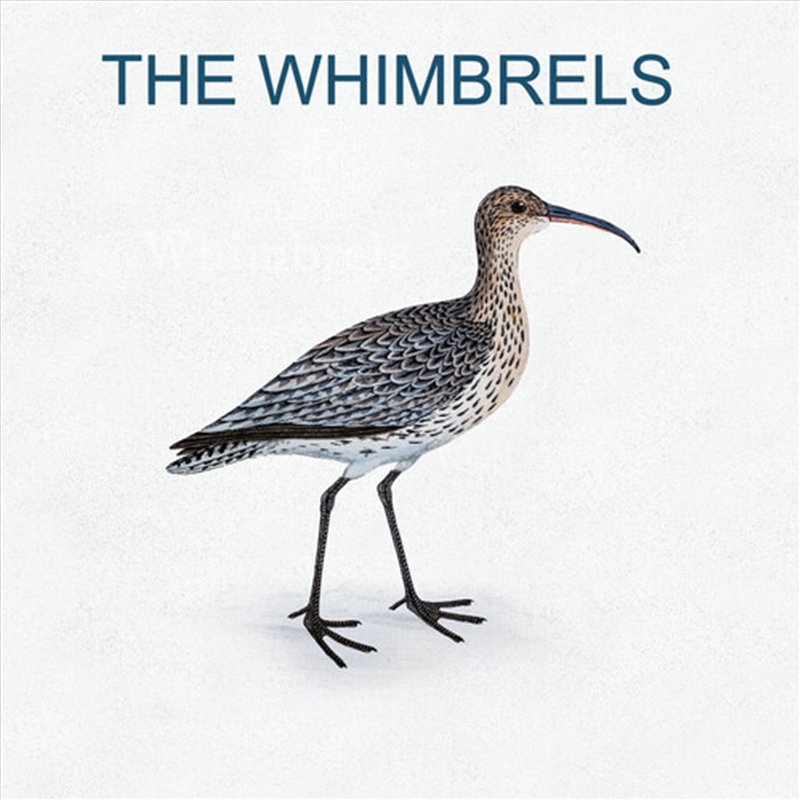 Whimbrels/Product Detail/Rock/Pop