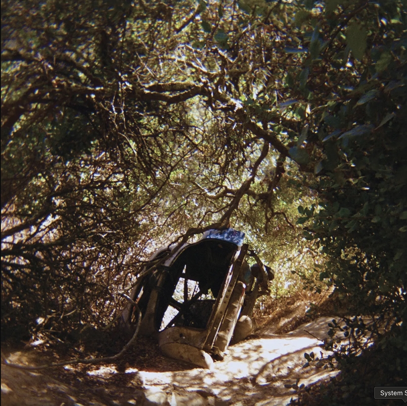 Possession/Product Detail/Alternative