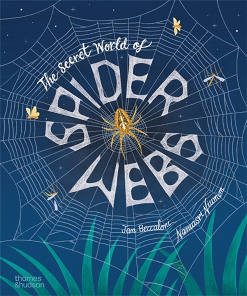 The Secret World Of Spider Webs/Product Detail/Childrens