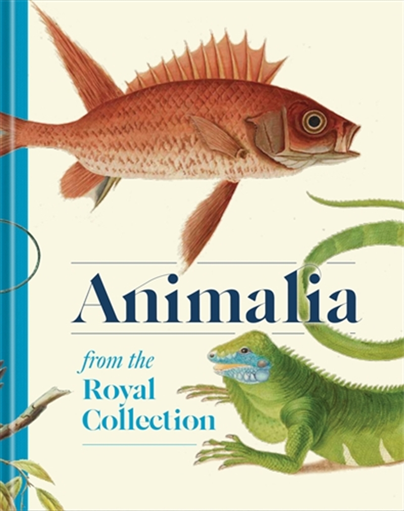 Animalia/Product Detail/Art