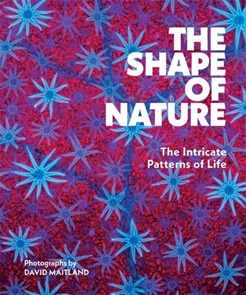 The Shape Of Nature/Product Detail/Photography